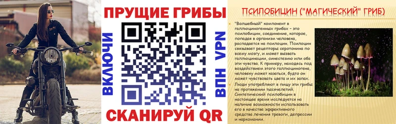 Псилоцибиновые грибы Magic Shrooms Горячеводский